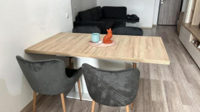 Palas luxury apartment1